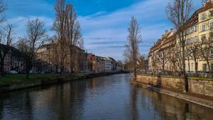 Courtier Immobilier de Luxe Strasbourg
